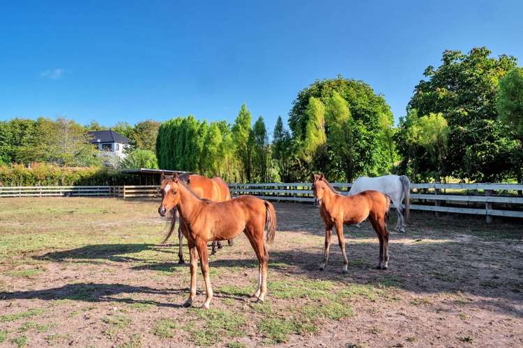 59a Goldflats Lane Coatesville_19