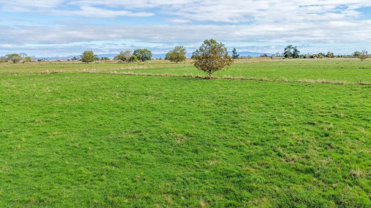 1338 State Highway 25 Pipiroa_6