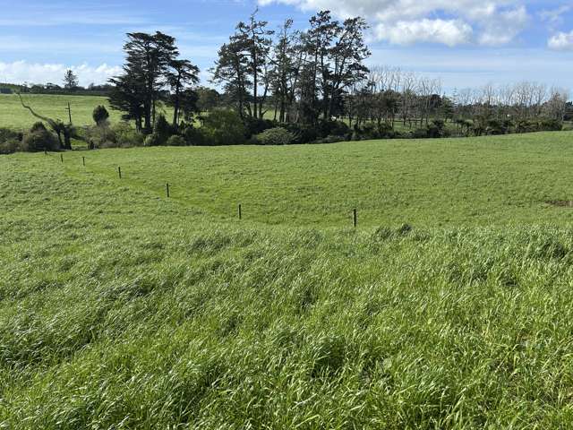 OPPORTUNITY ON CORBETT