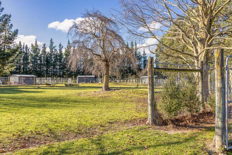 226 Loburn Terrace Road Loburn_18