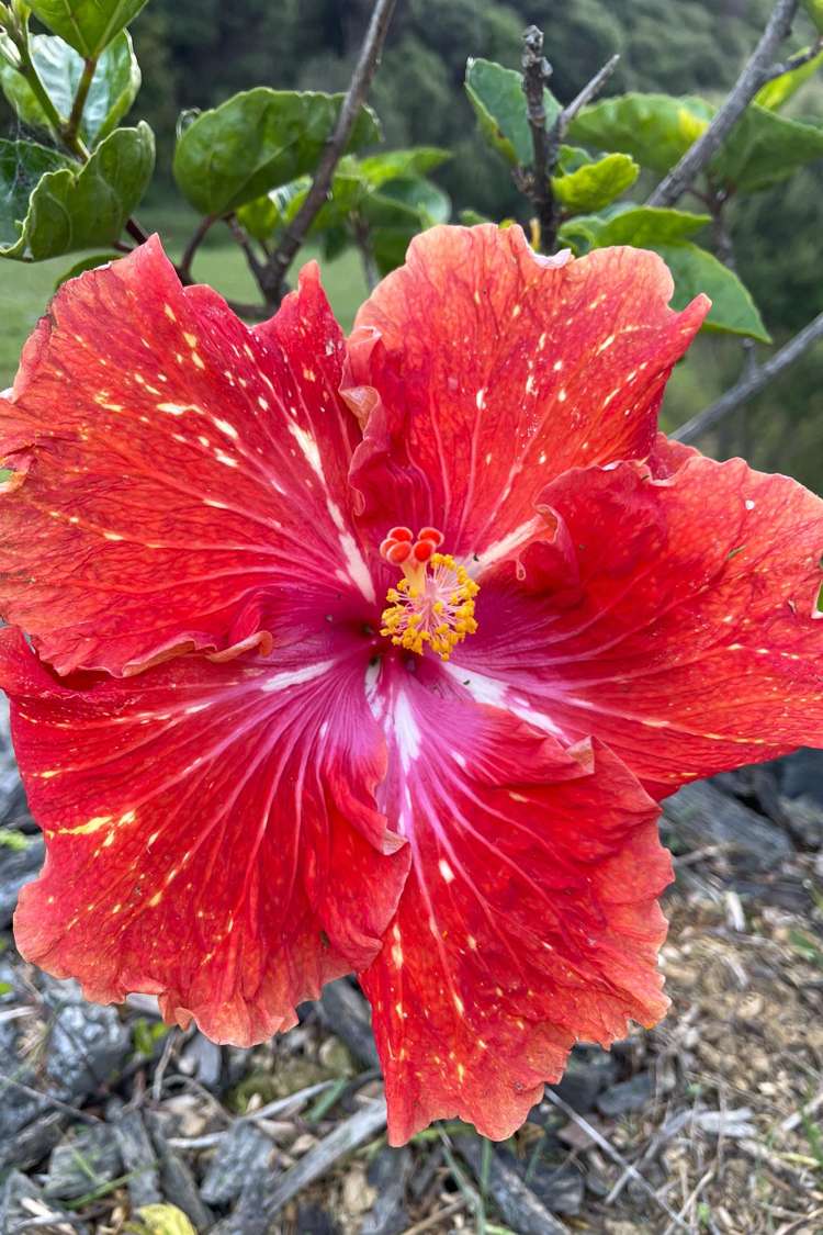 32 Admiral Way Tutukaka_2