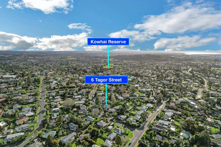 6 Tagor Street Glen Eden_23