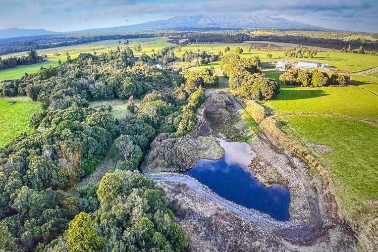 Lot 3 Matapuna Road Horopito_9