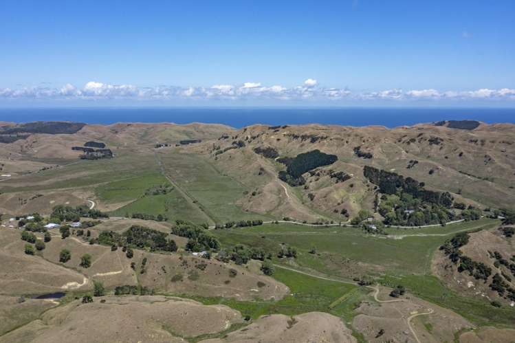 475 Te Akau South Road Te Akau_11