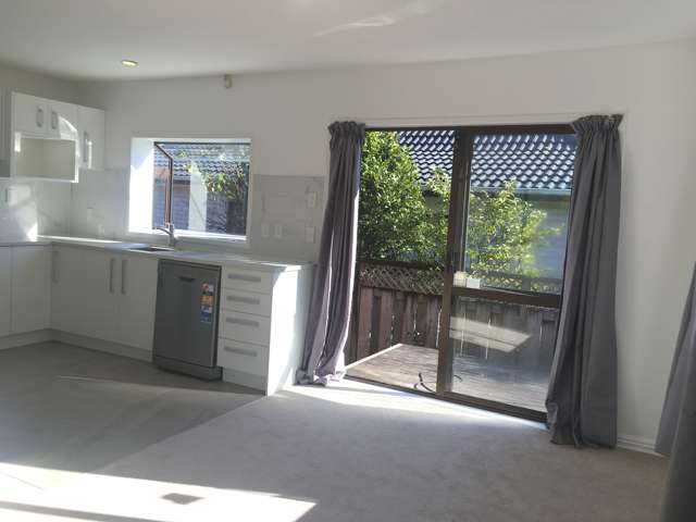 109 Hutchinson Avenue New Lynn_4