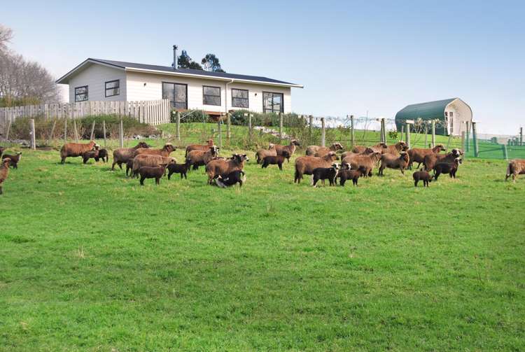 56 Wattle Lane Kaiwaka_15