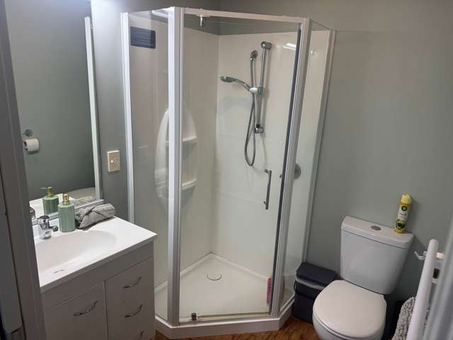 3 Shakespeare Road Napier South_3