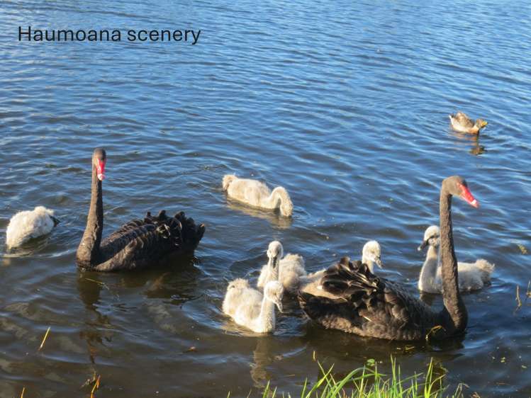 53 Haumoana Road Haumoana_7