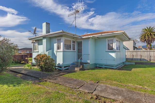 7 Wilton Street Levin_1