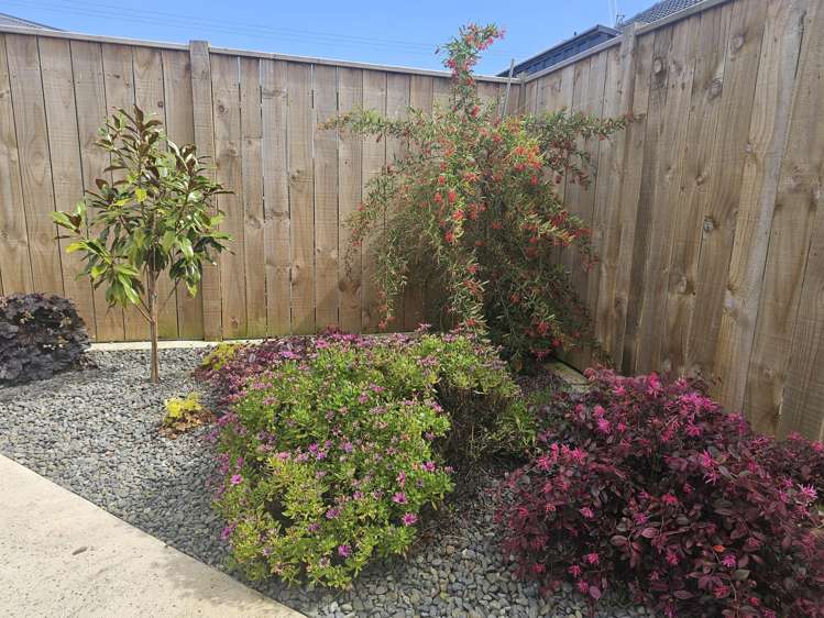 24 Winchester Street Levin_18