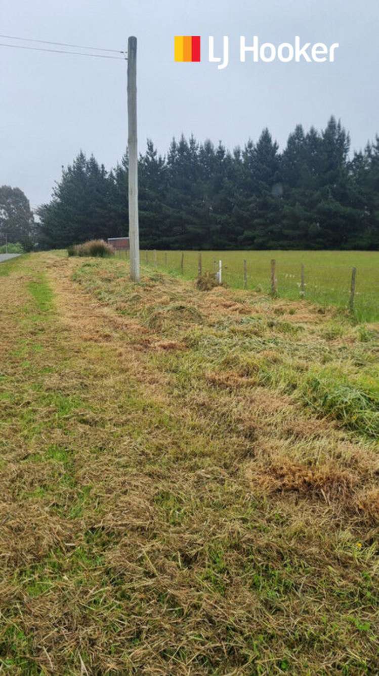 22 Stafford Street Hampden_12