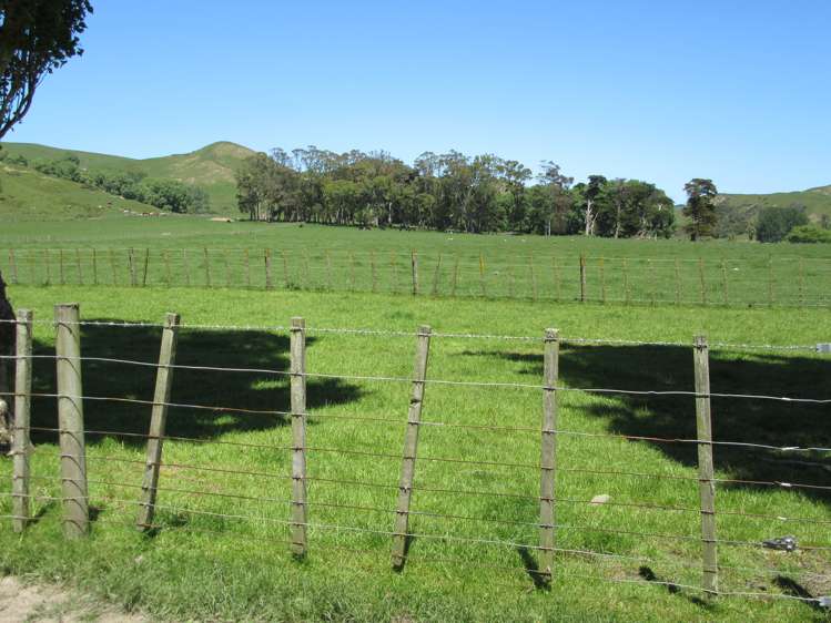 8/3382 Pourerere Road Central Hawkes Bay Coastal_15