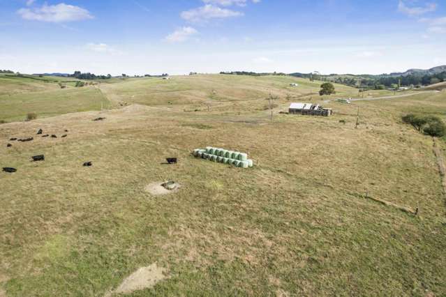 166E Renown Road Waikokowai_3