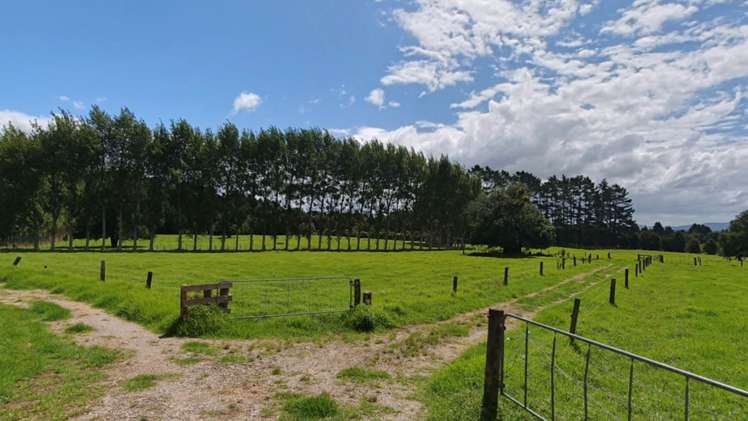 304 Hariru Road Ohaeawai_26