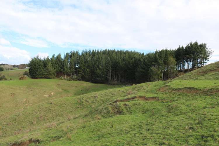 124 Kellyville Road Mercer_5