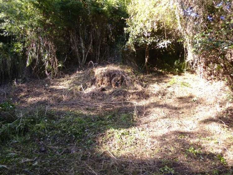 4 Goodwin Avenue Oneroa_6