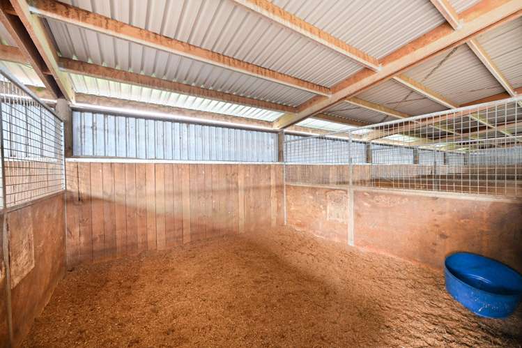 59 Racecourse Road Cambridge_43