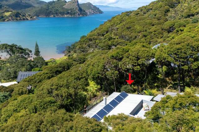 356 & 358 Blind Bay Road Great Barrier Island_2