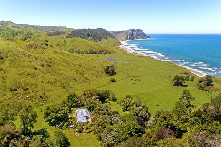 Waihau Station - 618 Waihau Road Tolaga Bay_7