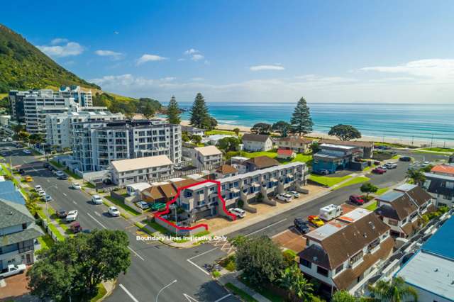 17a Commons Avenue Mount Maunganui_1