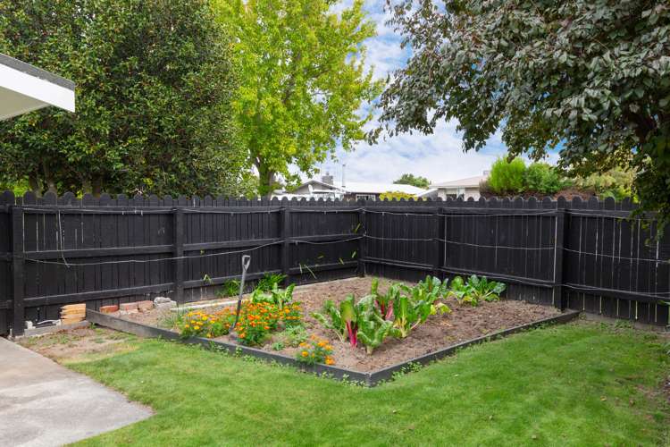 8 Lynley Crescent Blenheim Central_12