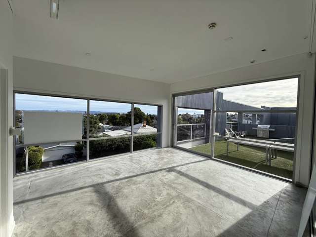 36 Williamson Avenue Grey Lynn_1