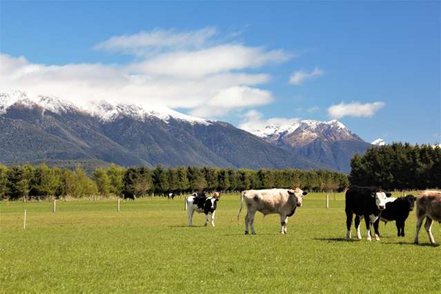 Lot 2/1725B Manapouri Te Anau Highway Manapouri_4