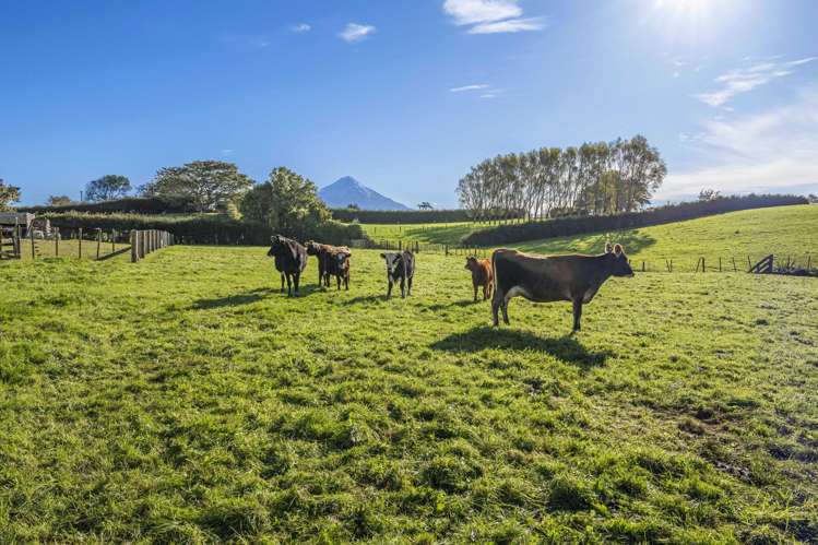 241 Warwick Road Stratford_12