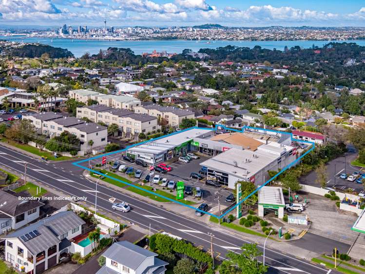 174 Mokoia Road Birkenhead North Shore City Commercial Property