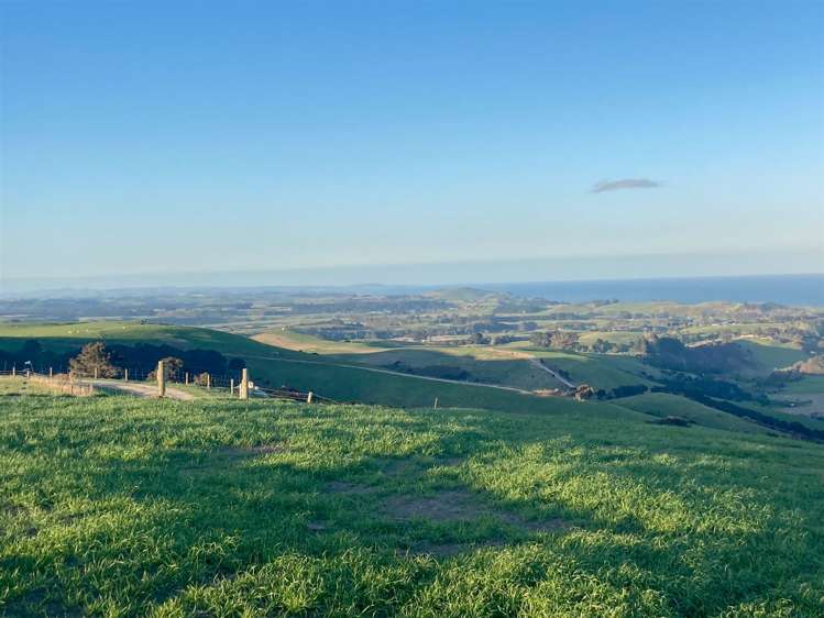 Duncan Road Hampden_11