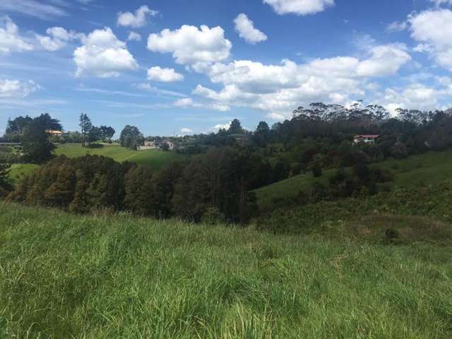 49 Foley Quarry Road Dairy Flat_4