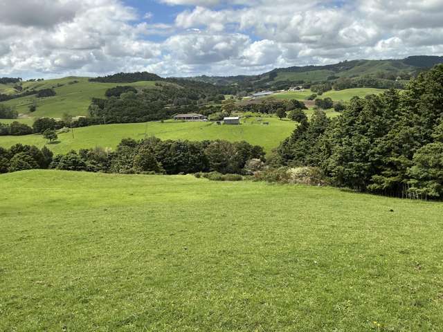 Lot 2/DP385487 Poyner Road Warkworth_1