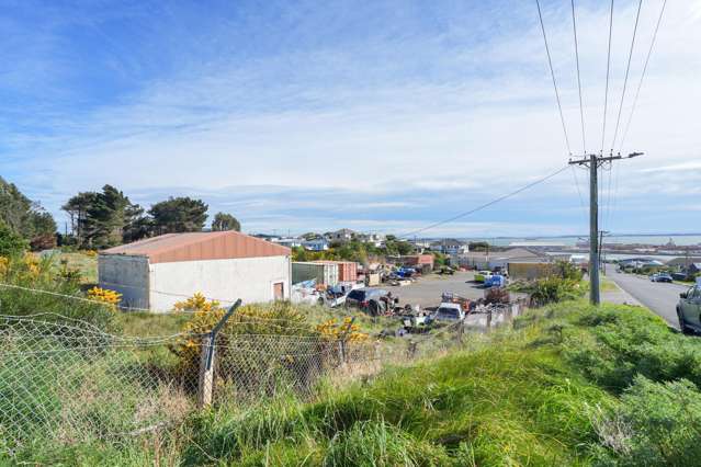 65 Suir Street Bluff_1