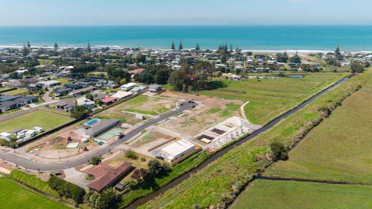 Citrus Avenue Waihi Beach_6