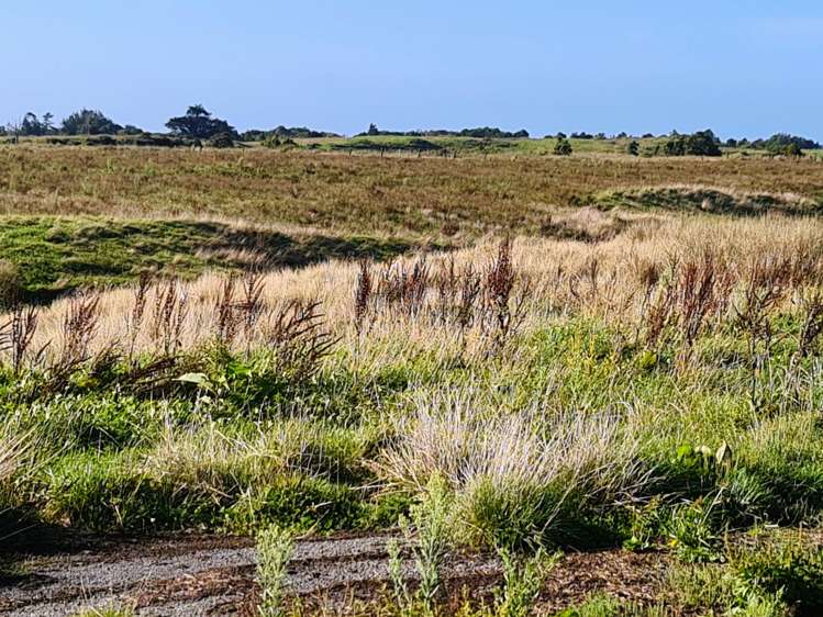 2/1088 Wilsons Lead Road Cape Foulwind_6