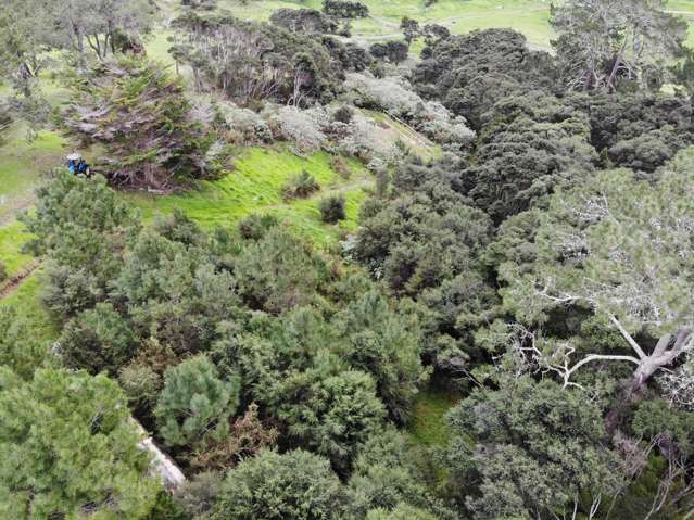 Sheffield Road Helensville_4