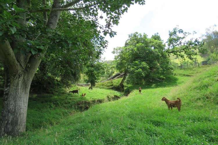 298 Tunakotekote Road Taumarunui_19