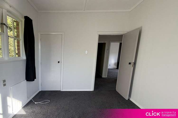 3 Edinburgh Street Green Island_16