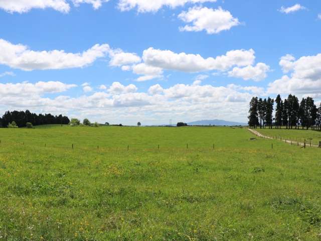 154 Matanuku Road Putaruru_2