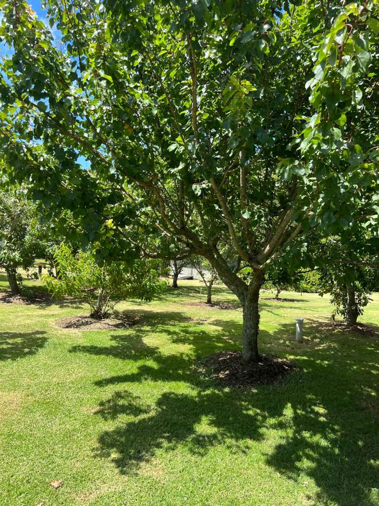 2408 Awhitu Road Awhitu_10