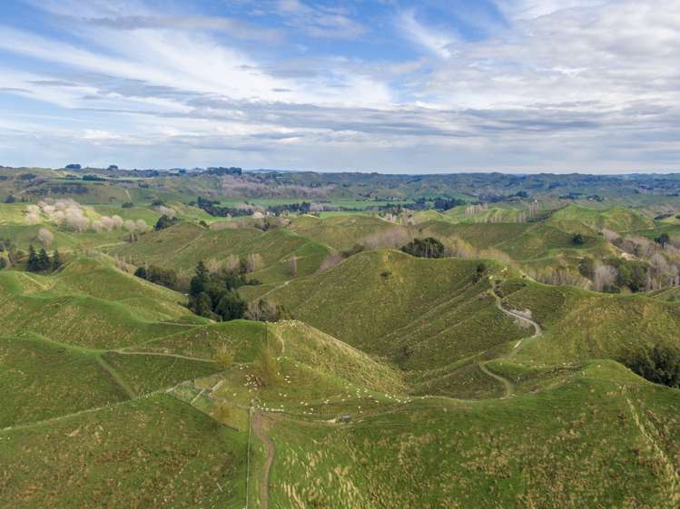 133 Mania Road Rangiwahia_8
