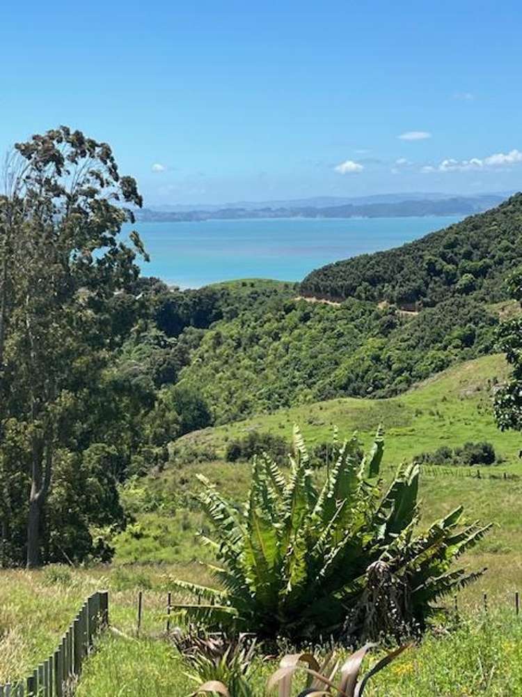 Whakapirau Road Kawhia_17