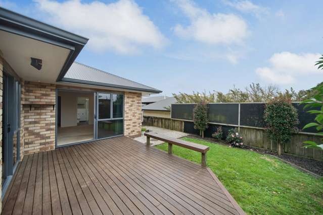 173 Kitchener Road Pukekohe_2