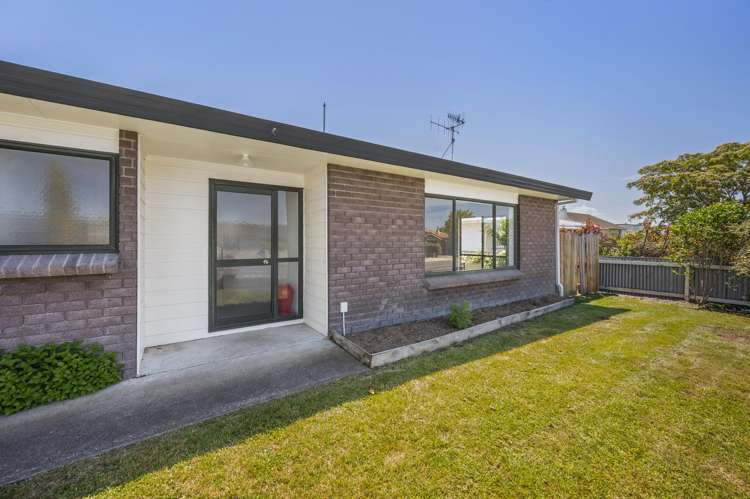 179A Guppy Road Taradale_11