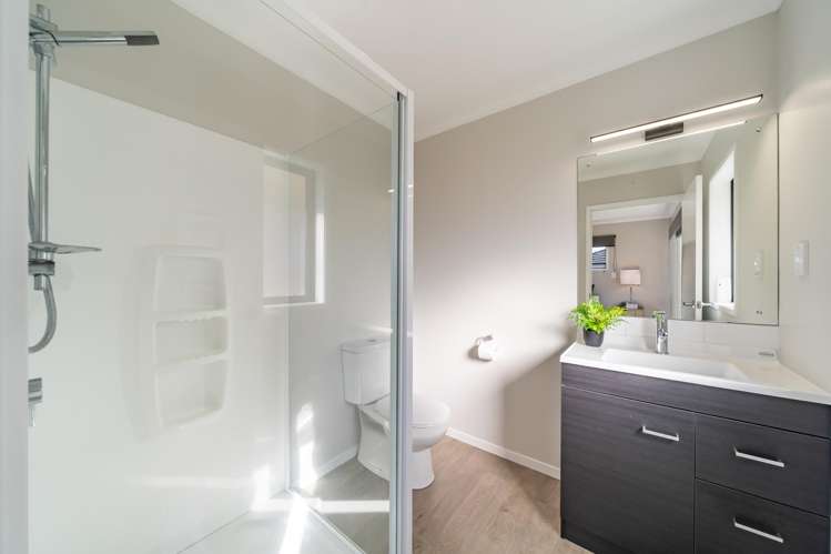 16 Te Punga Road Wallaceville_10