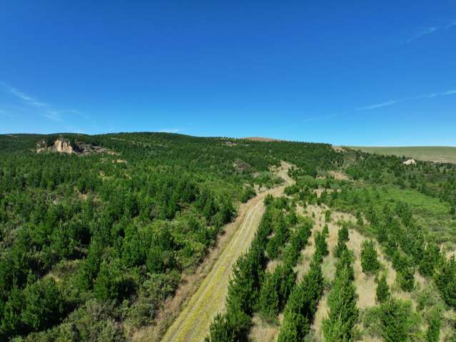 Established Forestry Block