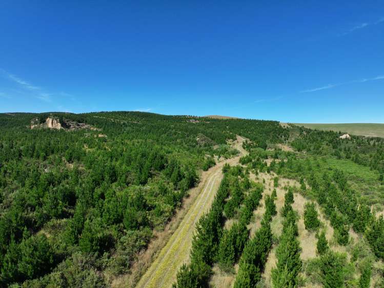 Waitahuna Gully Road_0