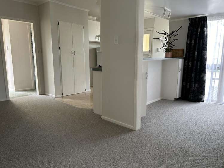 27 Maitland Street 1072_9