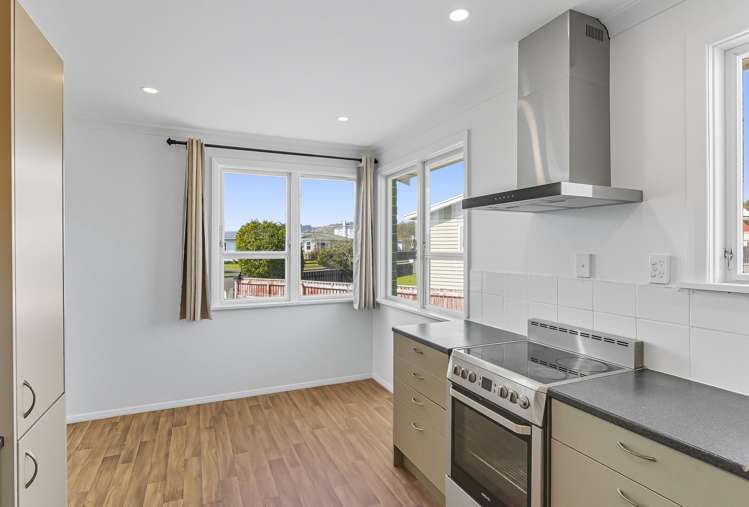 4 Ross Street Levin_23