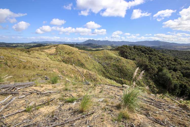 Broadwood Road Broadwood_5